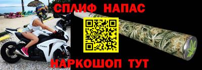 прущие грибы Можга