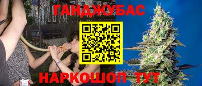 прущие грибы Можга