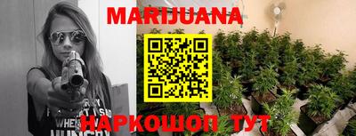 прущие грибы Можга