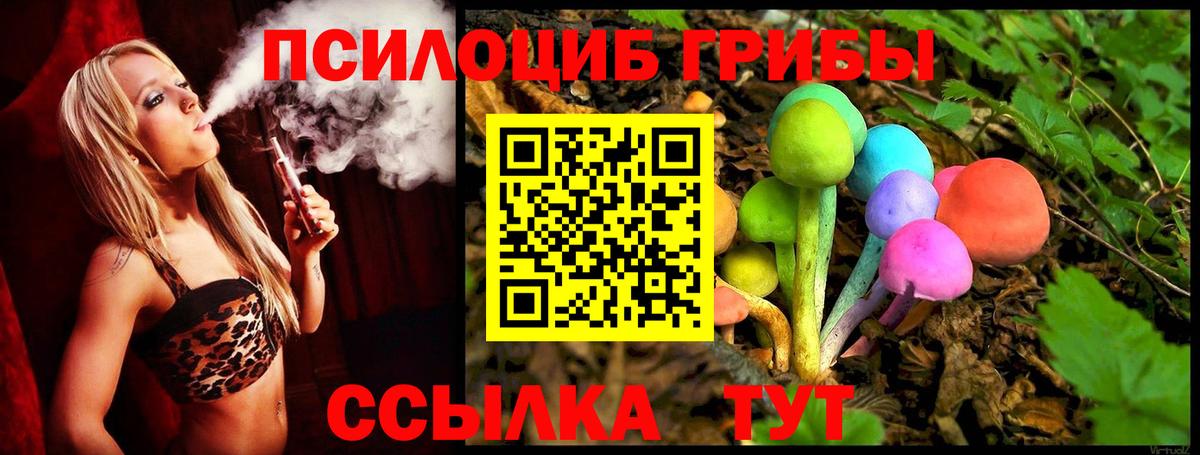 Сыктывкар  Галлюциногенные грибы Cubensis  цена наркотик  Вход с VPN 